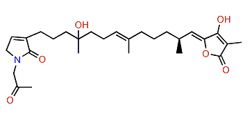8-Hydroxyircinialactam A